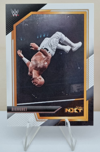 2022 panini wwe nxt 120 - wwe, #120